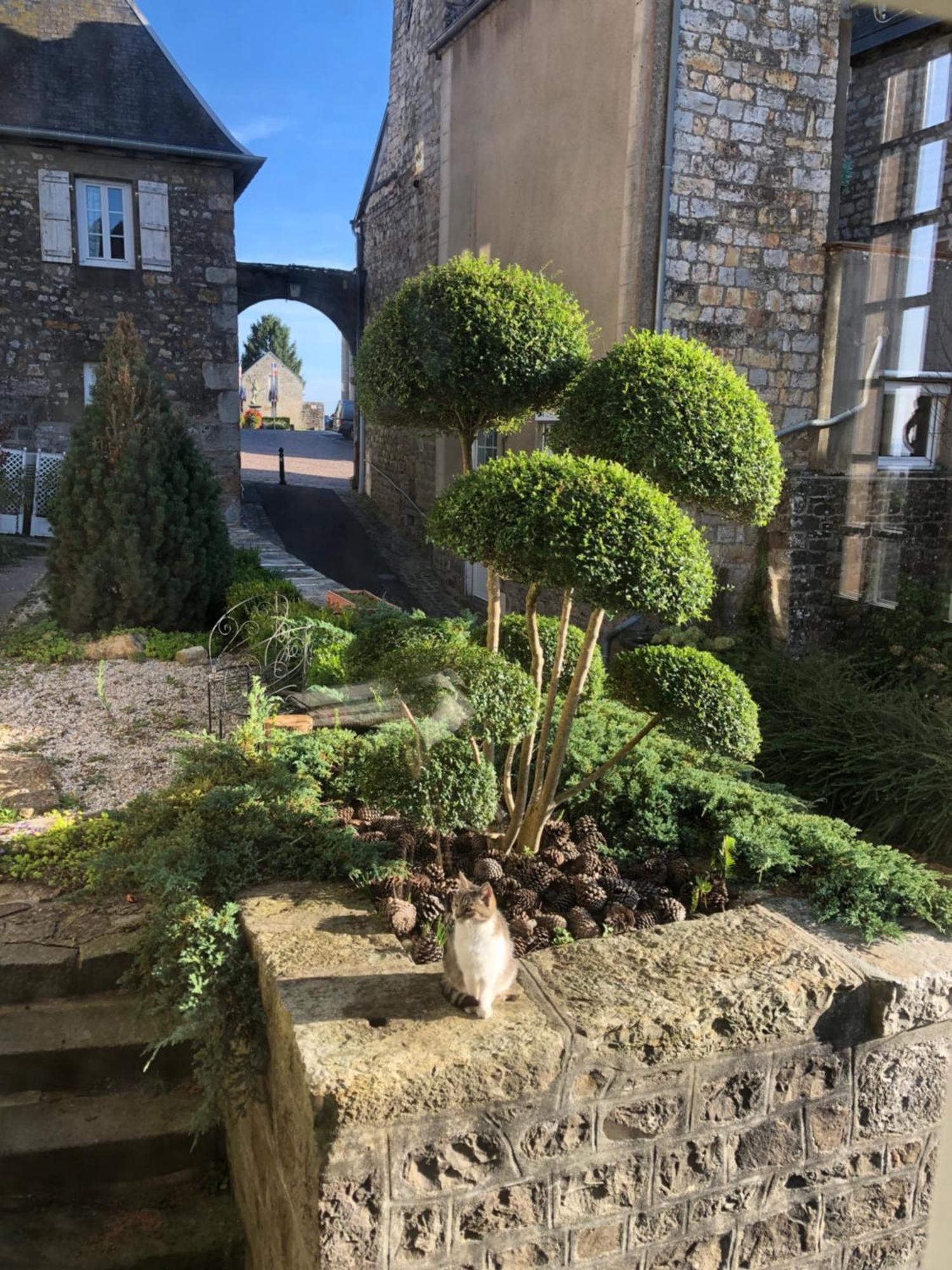 La Maison Sur Les Remparts Domfront  Esterno foto